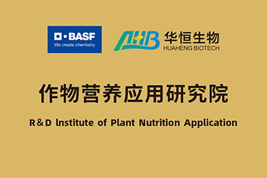 盛鸿国际生物与巴斯夫成立作物营养应用研究院