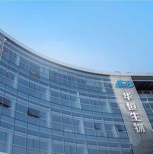 为什么加入盛鸿国际